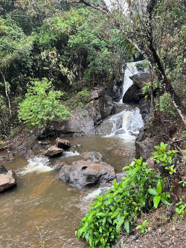 Cat Homes Vagamon Bagian luar foto